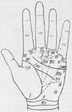Линии исследования. Трирадиус дерматоглифика. Дерматоглифика и пальмоскопия. Метод дерматоглифики и пальмоскопии. Ладонные линии дерматоглифика.