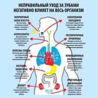 И организм в общем. Влияние зубов на организм человека. Влияние больных зубов на организм. Взаимосвязь зубов с органами человека. Зубы влияют на организм.