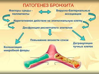 Аллергический бронхит симптомы диагностика и методы лечения